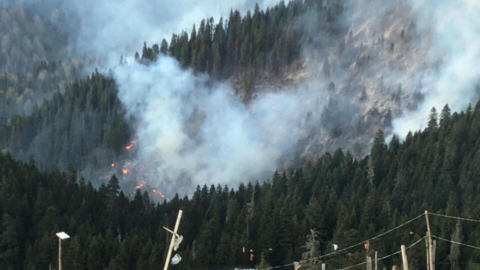 Bir yangın da Örümcek Ormanları'nda çıktı!