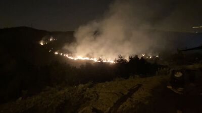 Hatay'da makilik alan yangını kontrol altında