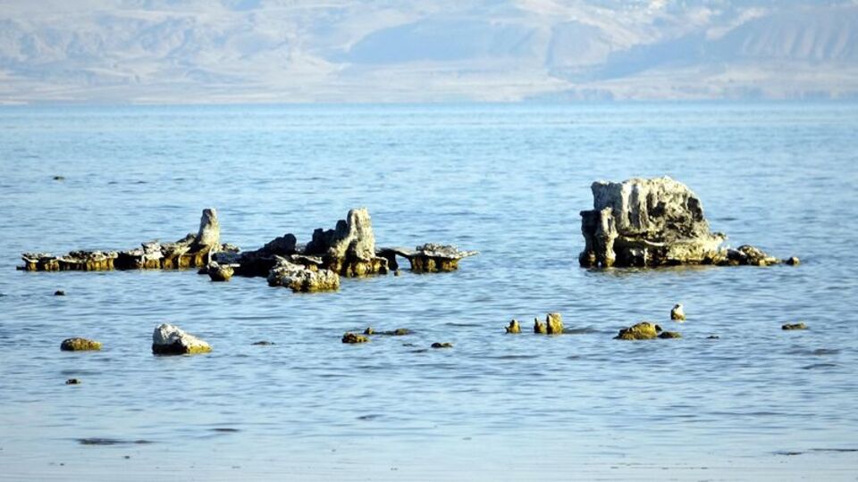 Dünyanın en büyükleri! Sular çekilince ortaya çıktı