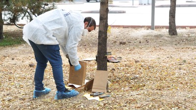 Parkta uçaksavar mermisi şoku