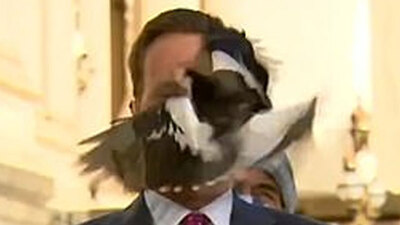 Yayın sırasında neye uğradığını şaşırdı!