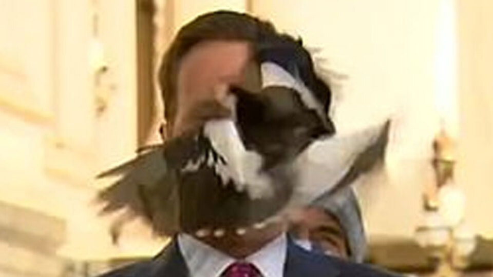 Yayın sırasında neye uğradığını şaşırdı!