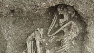 Apartmanın bahçesinde keşfedilmişti! Şaşırtan gerçek ortaya çıktı...