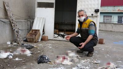 Görünce dehşete düştü, hepsini ölü buldu