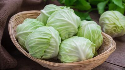 Beyaz Lahana nedir, faydaları neler?