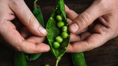 Bezelyenin faydaları nelerdir?