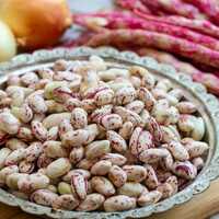 Barbunya Nedir, Barbunyanın Faydaları Nelerdir?