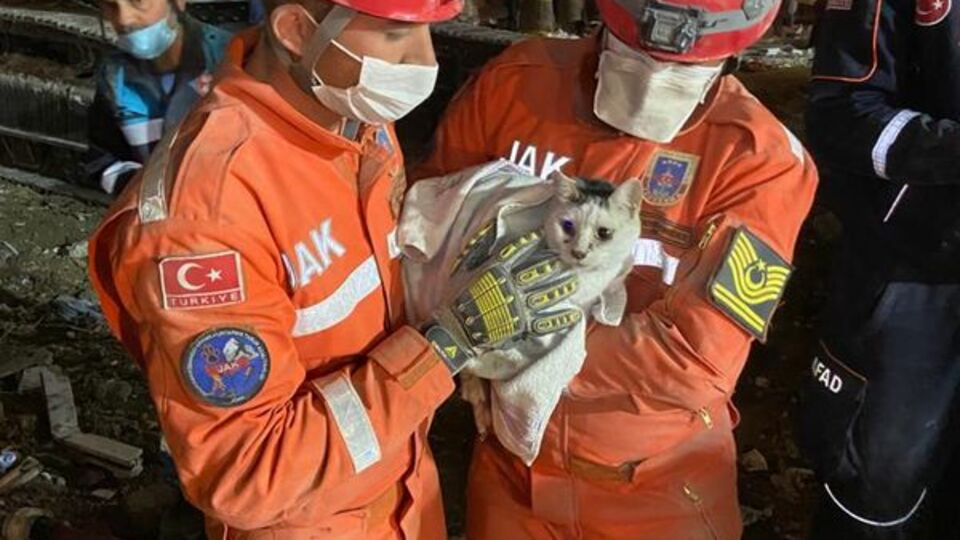 76. saatte kedi kurtarıldı