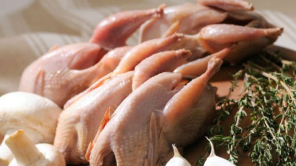 Bıldırcın Etinin Faydaları Nelerdir?