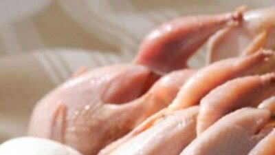 Bıldırcın eti nedir?