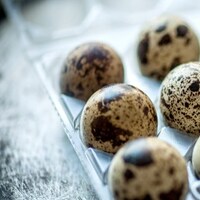 Bıldırcın yumurtası nedir?