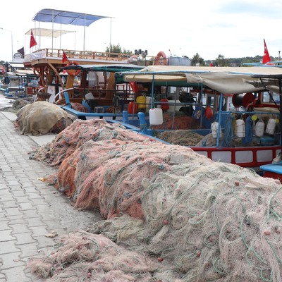 Tsunami travması!