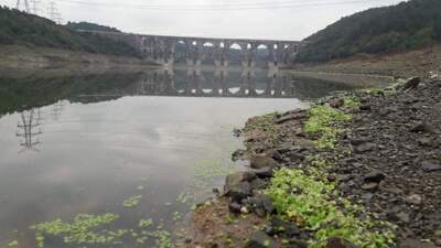 Bilim Kurulu Üyesi'nden korkutan açıklama!