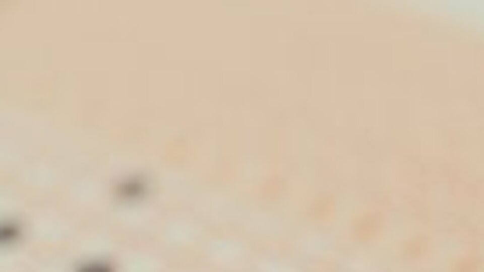 YÖK Başkanı: Pandemide usulsüz yatay geçişler yapıldı