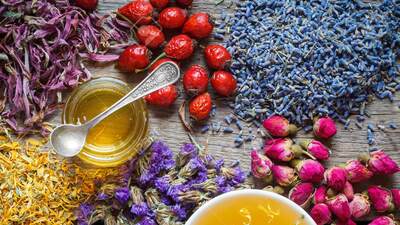 Bitkilerin Faydaları Nelerdir?