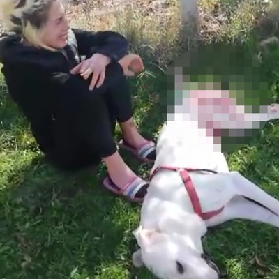 Bahçesine giren komşusunun köpeğini öldürdü!