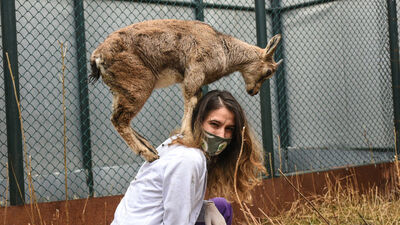 Yaban hayatı merkezinin maskotu oldular