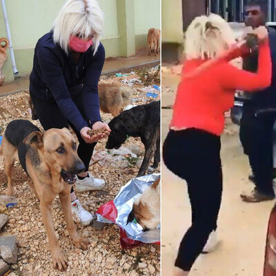 Mamaları çalan hırsız bin pişman oldu!