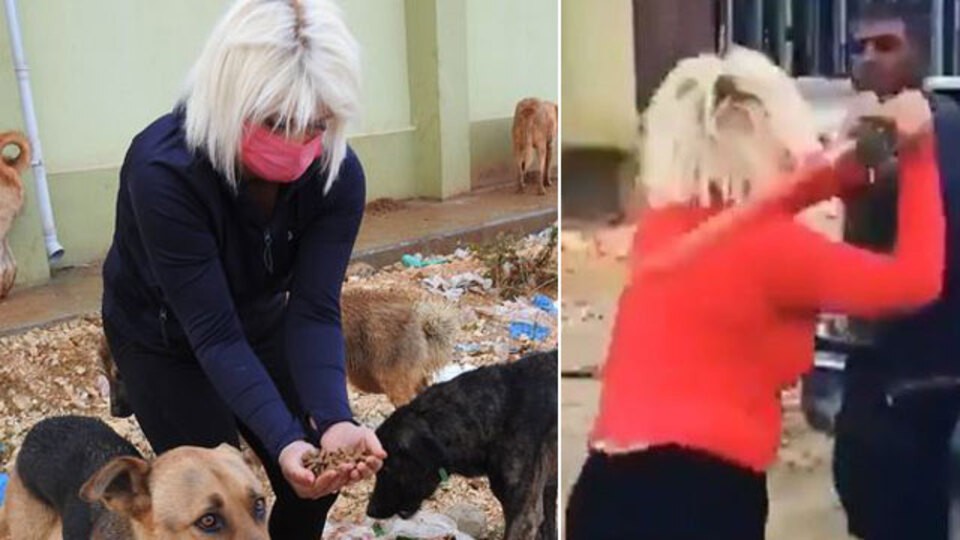 Mamaları çalan hırsız bin pişman oldu!