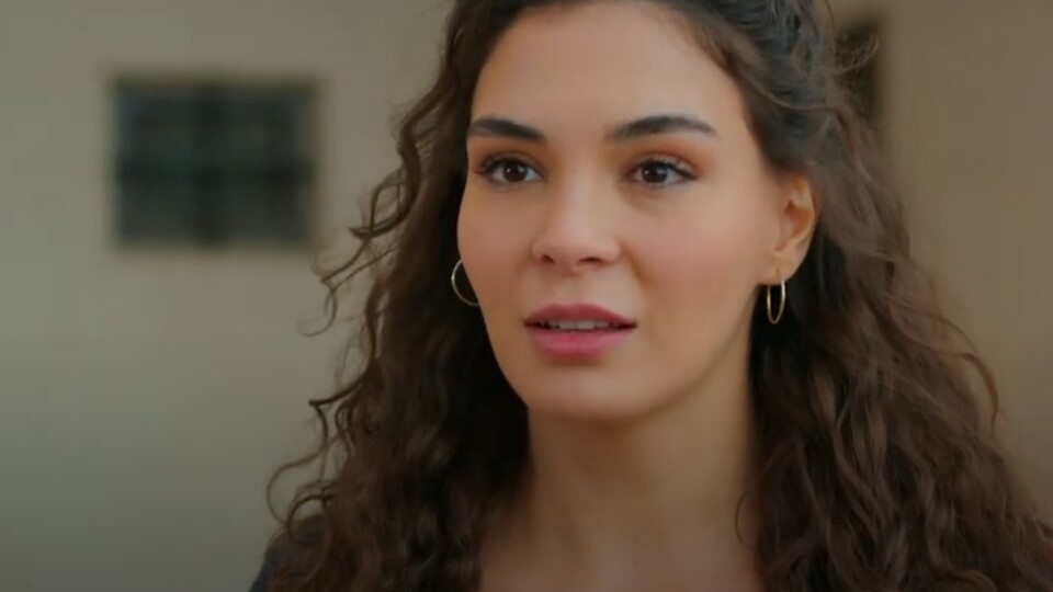 Aslan, Reyyan'a aşık