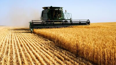 Tarımsal destekler belirlendi