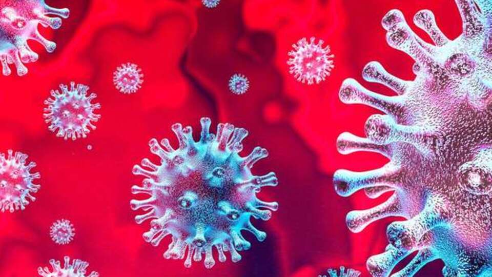 Corona virüsü belirtileri nelerdir?