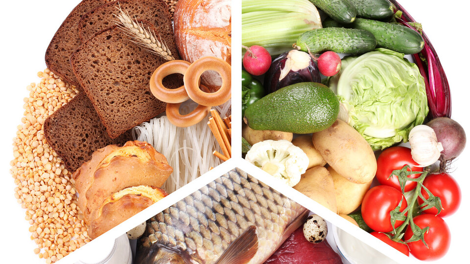 Temel besin grupları nelerdir?