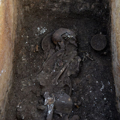 Hiç bozulmamış... Adıyaman'da bulundu!