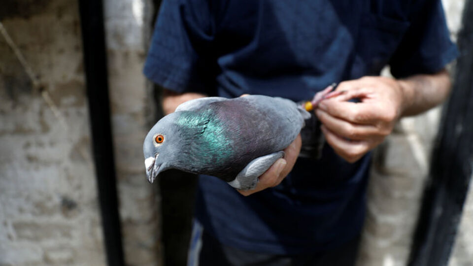 Tarlada gezerken buldular... 110 yıllık!