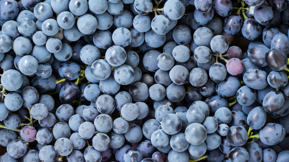 Kanı sulandırıyorlar! Tüketirken dikkat!