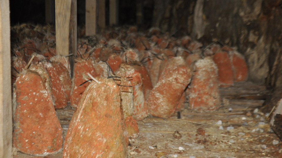 Fransızların 'rokfor'una Karaman'dan rakip çıktı