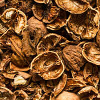 Ceviz Kabuğu Nedir? Ceviz Kabuğunun Faydaları Nelerdir?