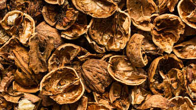 Ceviz Kabuğu Nedir? Ceviz Kabuğunun Faydaları Nelerdir?