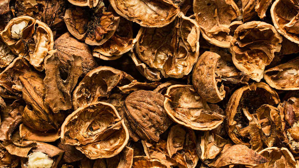 Ceviz Kabuğu Nedir? Ceviz Kabuğunun Faydaları Nelerdir?