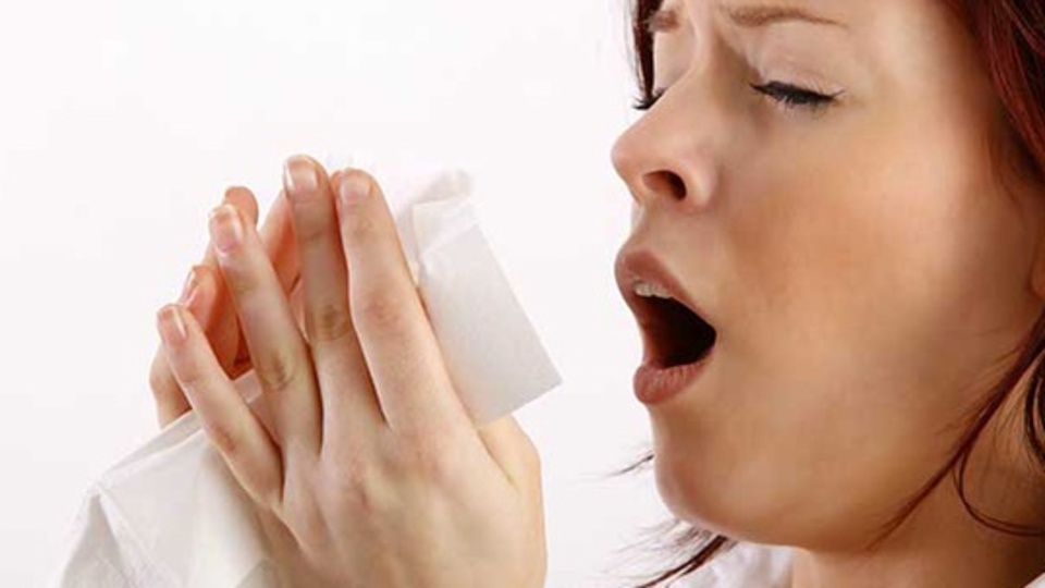 Aksırma sözcüğünün tanımı