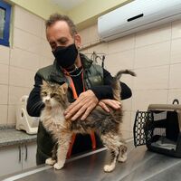 Depremzede kediyi sahiplendi