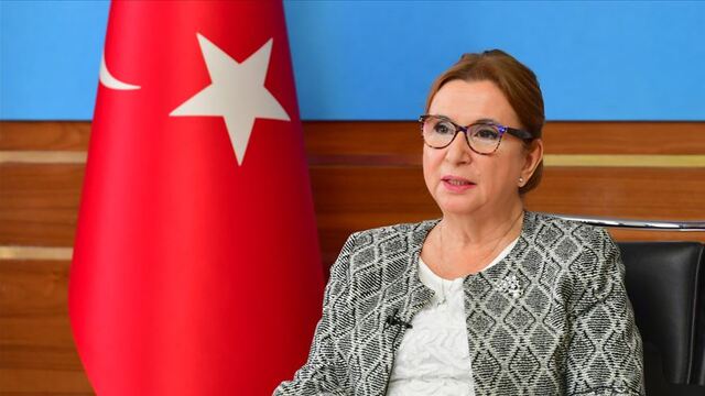 "81 İlde İhracata İlk Adım Programı" başlıyor