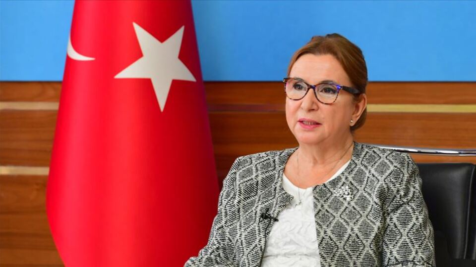 "81 İlde İhracata İlk Adım Programı" başlıyor