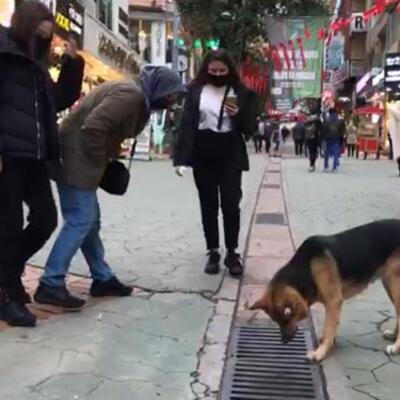 Her gün saatlerce aynı yere bakıyor!