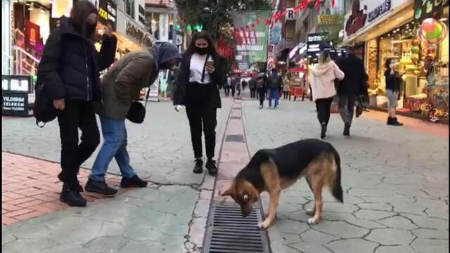 Her gün saatlerce aynı yere bakıyor!