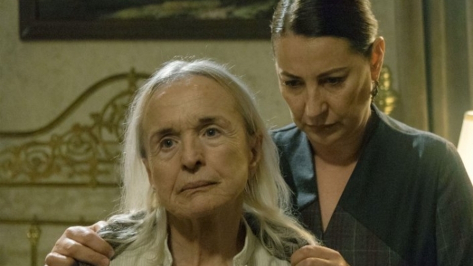 Bir Zamanlar Çukurova Haminne kimdir?