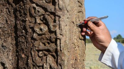 Selçuklu şahideleri tarihe ışık tutuyor