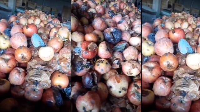 Şok iddiaya soruşturma!