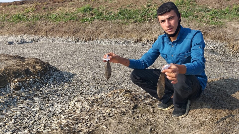 Batman'da feci görüntü!