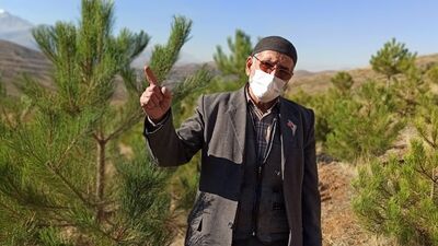 Babadan kalma arazisini 11 yılda ormana dönüştürdü