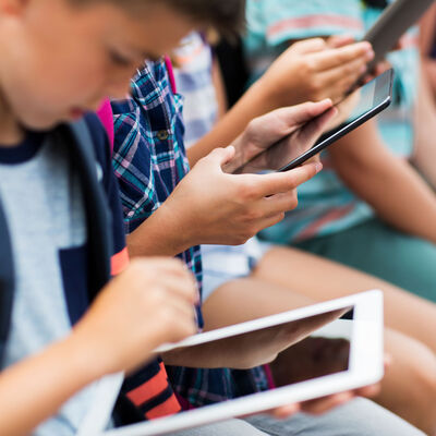 Yeni yılda dağıtıma başlanacak