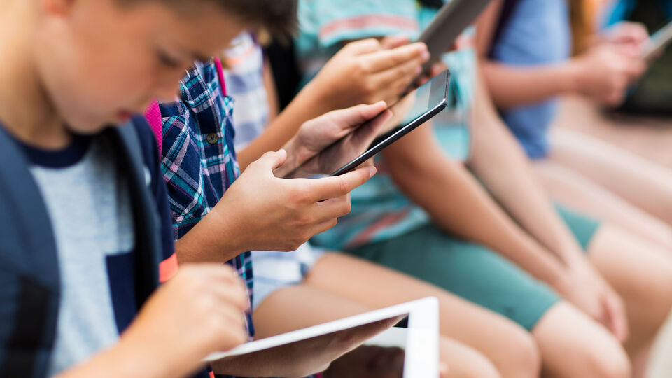 Yeni yılda dağıtıma başlanacak