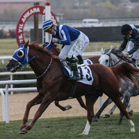 Cumhuriyet Kupası Koşusu, Demirperde'nin