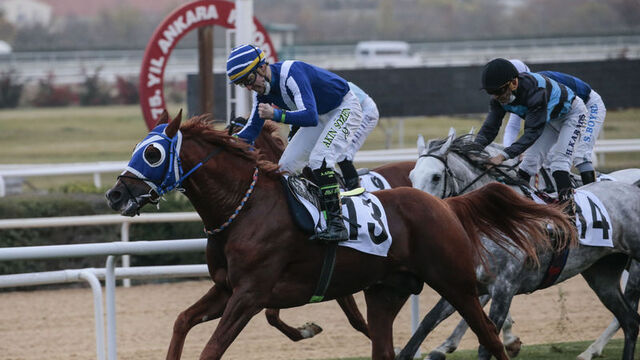 Cumhuriyet Kupası Koşusu, Demirperde'nin