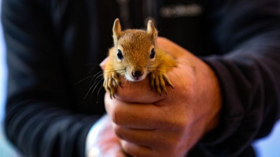 Yol yapım çalışmasında bulundu...